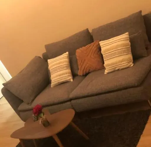 Superbe Equipe, Le Nid D'eva A Gare, Parking Prive, Balcon, F2, 50m2, 3p